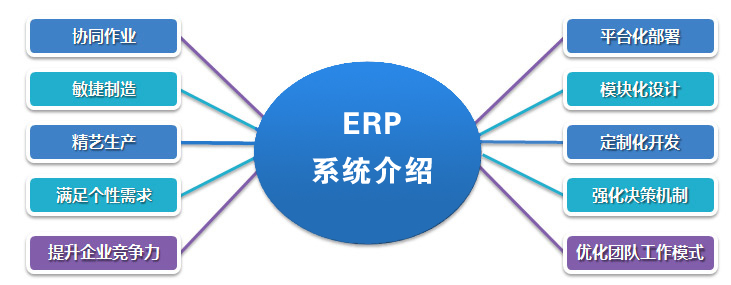 ERP系统的介绍